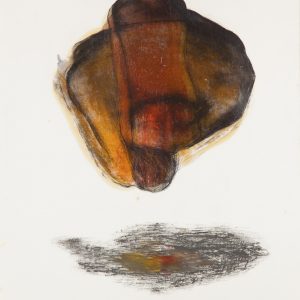 Intertwined I, 28_ x 39_, transfert d_image, graphite et huile sur papier - Valérie Héroux